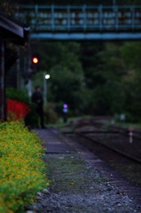 IMGP4804
