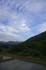 雲