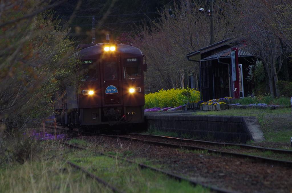 上神梅駅　aIMGP4150b