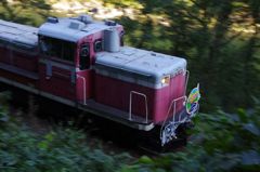 IMGP4729