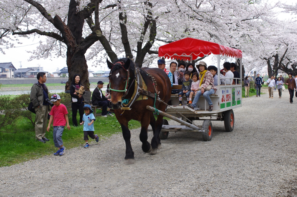 馬車にゆられてのんびりと