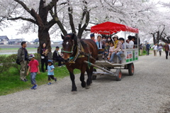 馬車にゆられてのんびりと