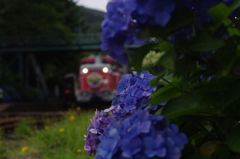 IMGP9151