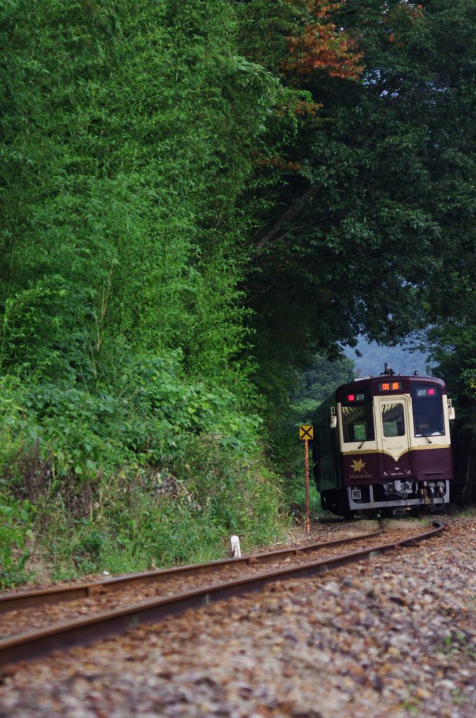 aIMGP3035a