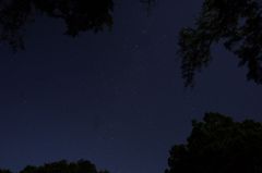 IMGP9870