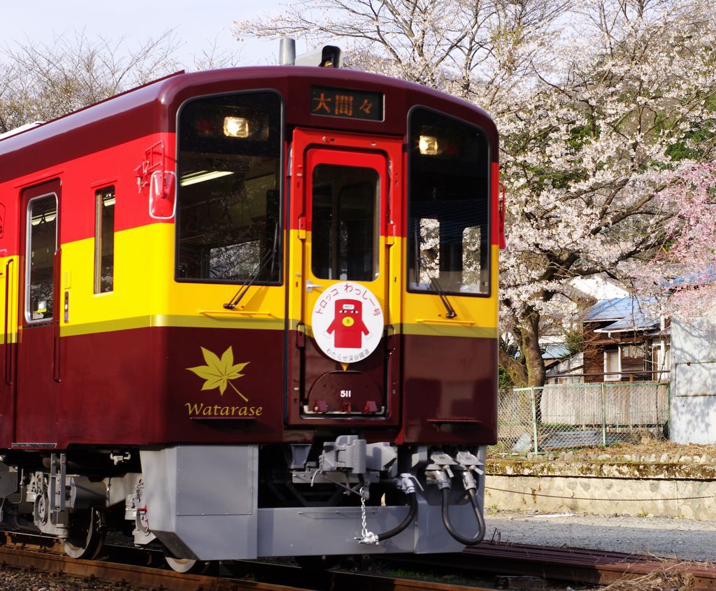 aIMGP9202b