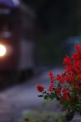 aIMGP5647b