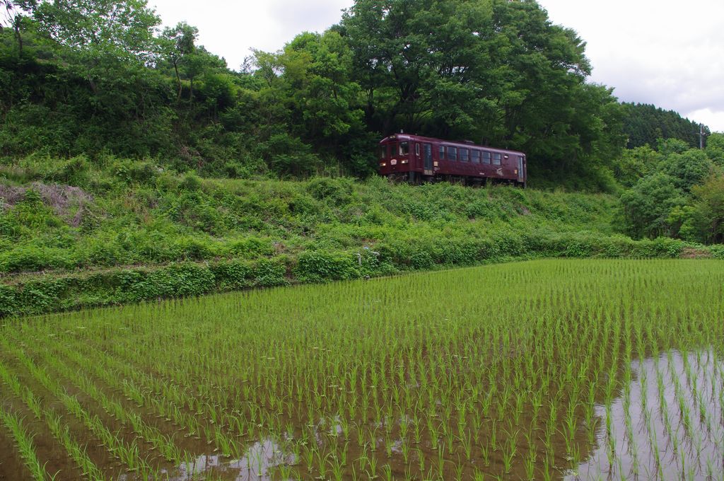田んぼとわ鐵