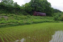 田んぼとわ鐵