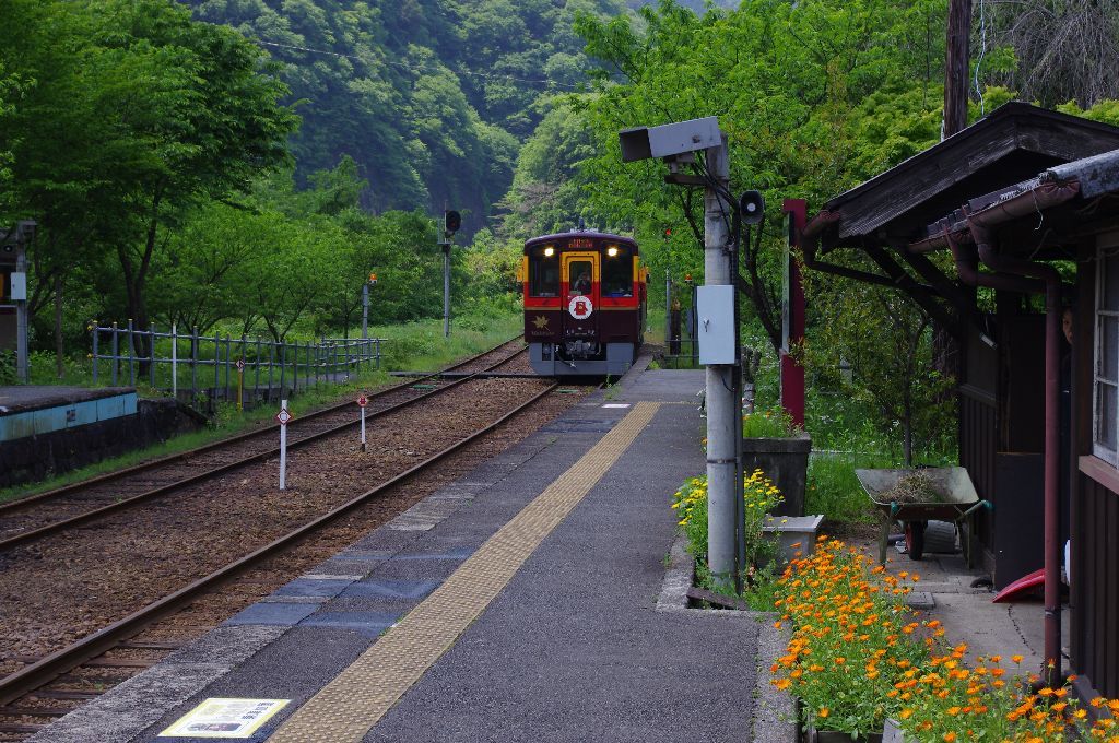 トロッコ電車：IMGP7853