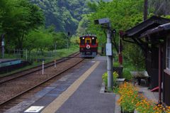 トロッコ電車：IMGP7853