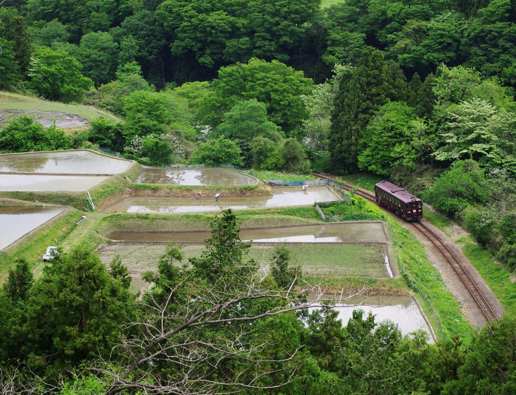 田植えとわ鐵