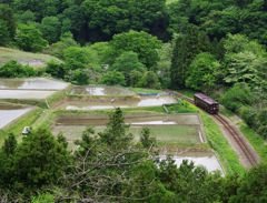田植えとわ鐵