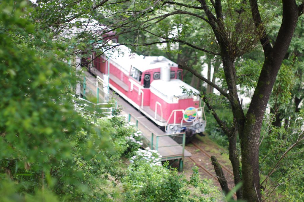 本宿駅　IMGP8326