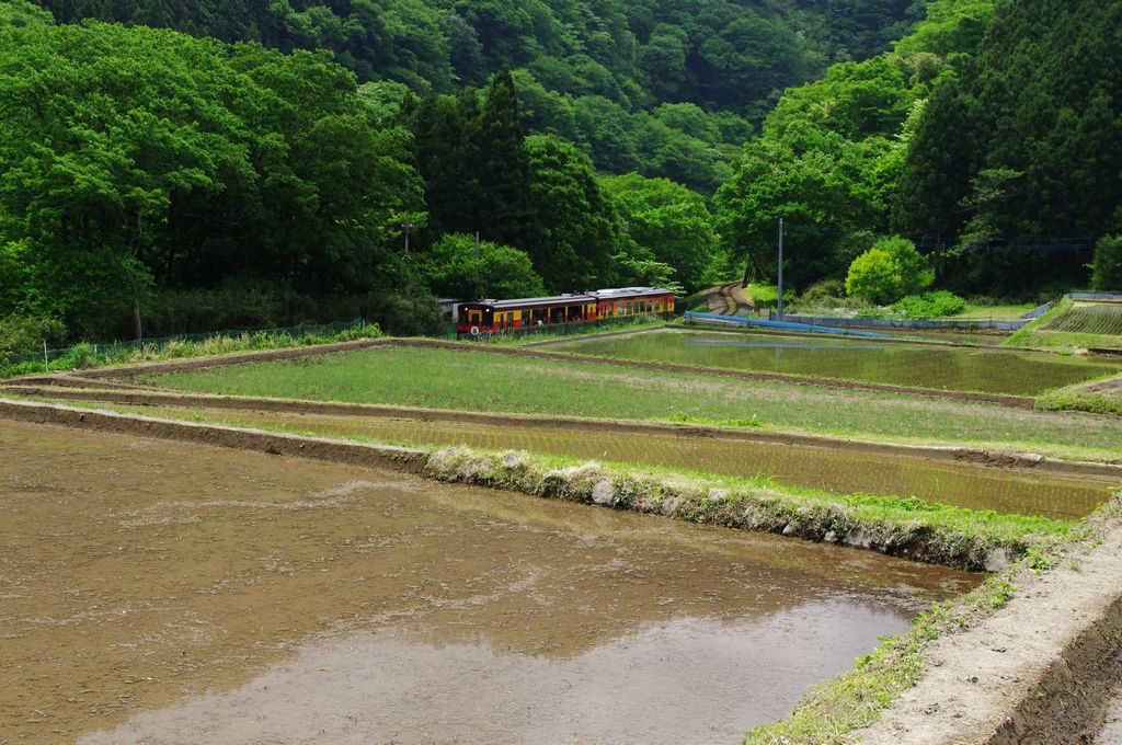 棚田の中を行く