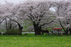 馬車