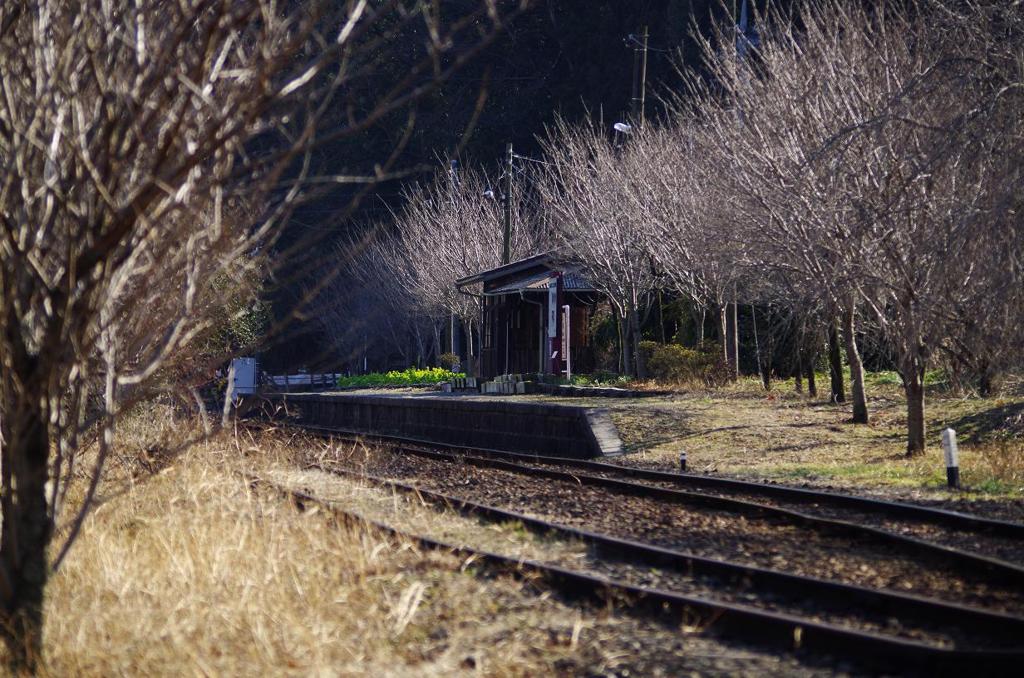 上神梅駅　aIMGP2314b