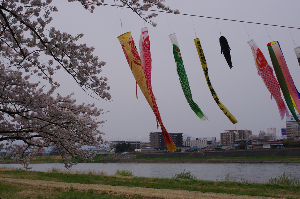 泳ぐ