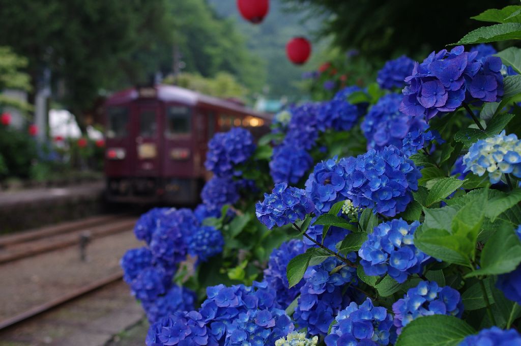 IMGP8865