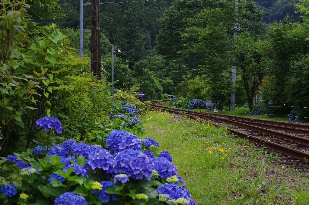 IMGP8843