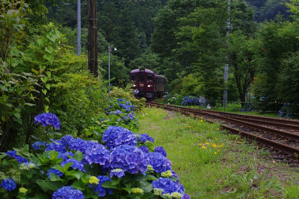 IMGP8847