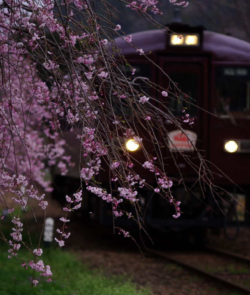 aIMGP8583
