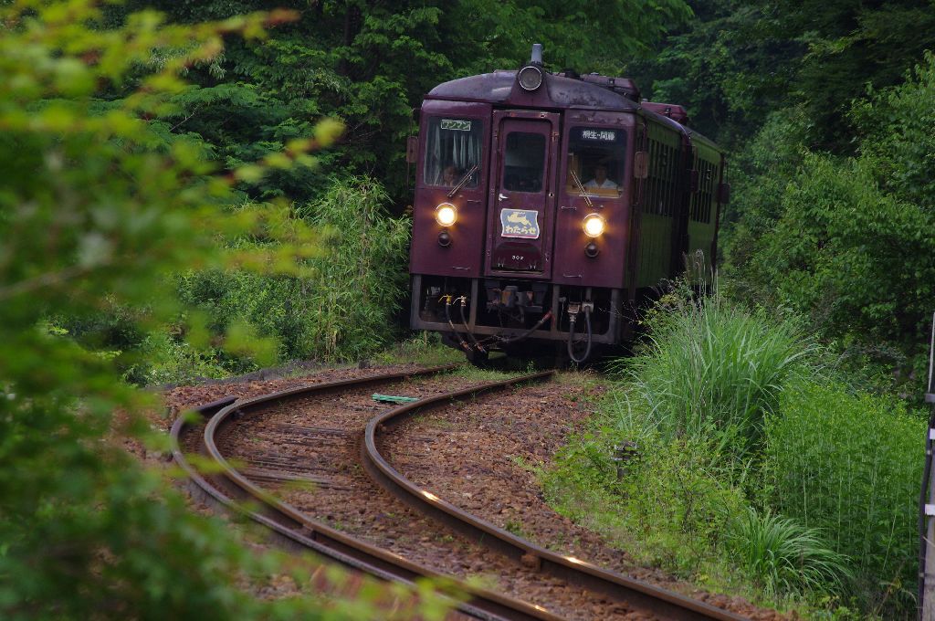 IMGP8919
