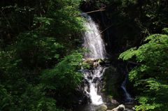 二条滝(?):IMGP7840 国道に看板があったのですが覚えていません。