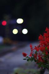 aIMGP5616b