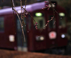 aIMGP9033