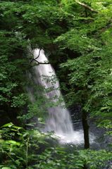 不動の滝 IMGP7999