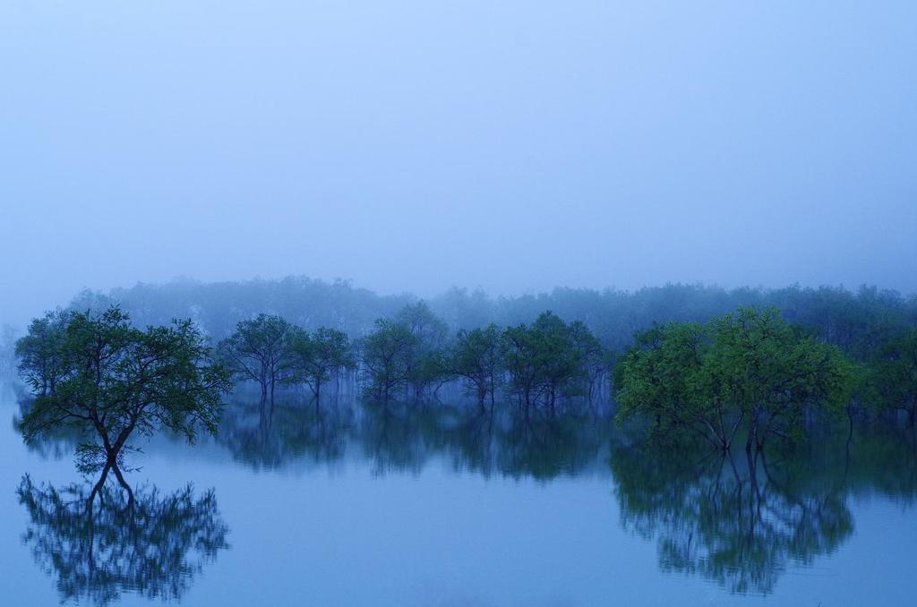 霧景色　２　aIMGP5022b