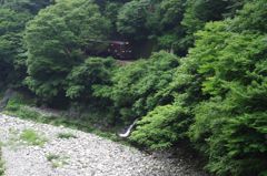 渇水のなか