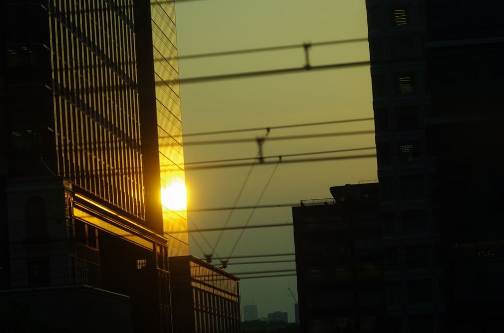 夕日　