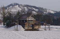 里の春 IMGP6369