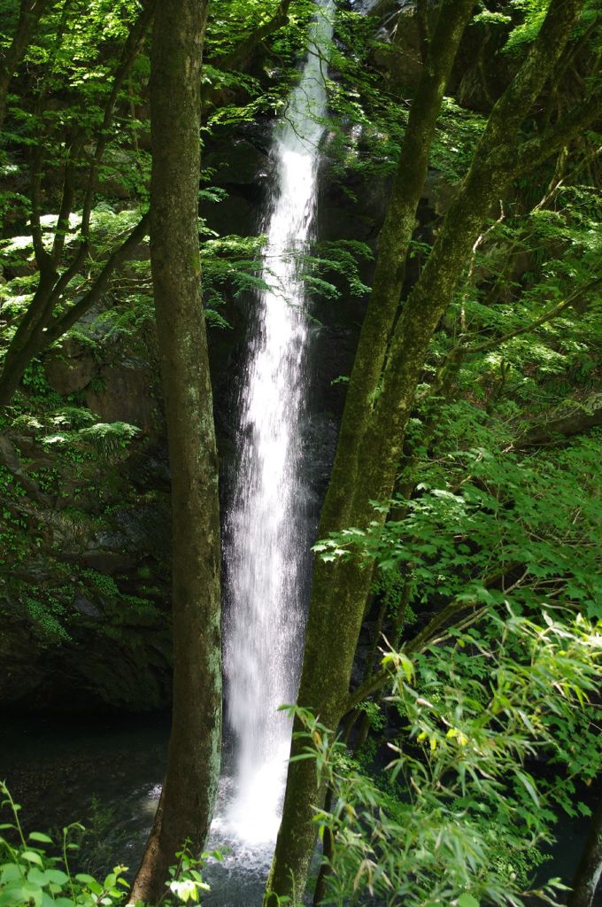 不動滝：IMGP7877