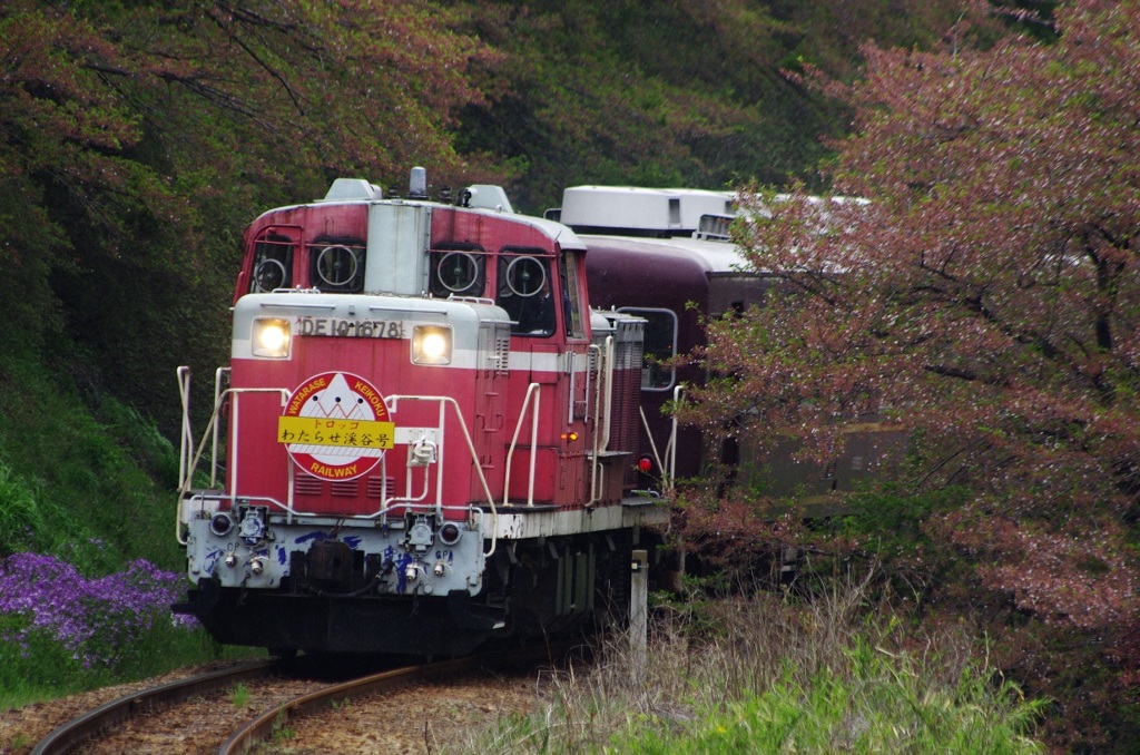 わたらせ渓谷号　IMGP0505