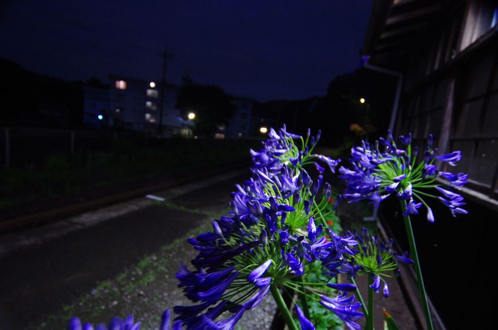 夜のホーム