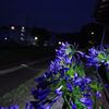 夜のホーム