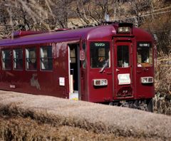 bIMGP7832
