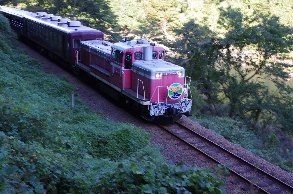 IMGP4726