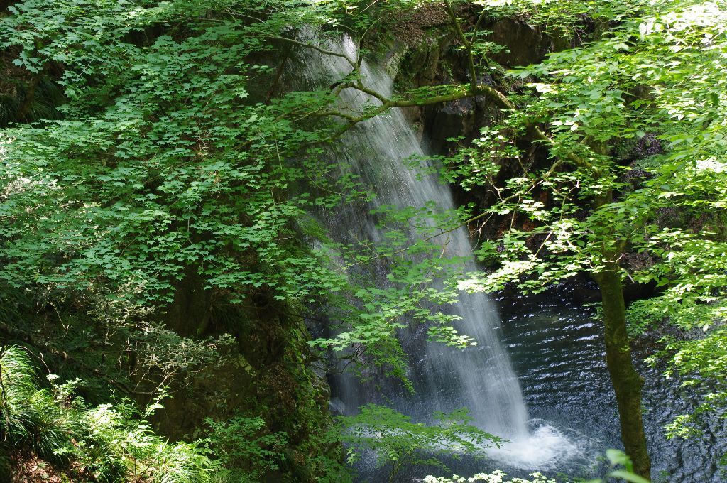  不動滝　IMGP7895