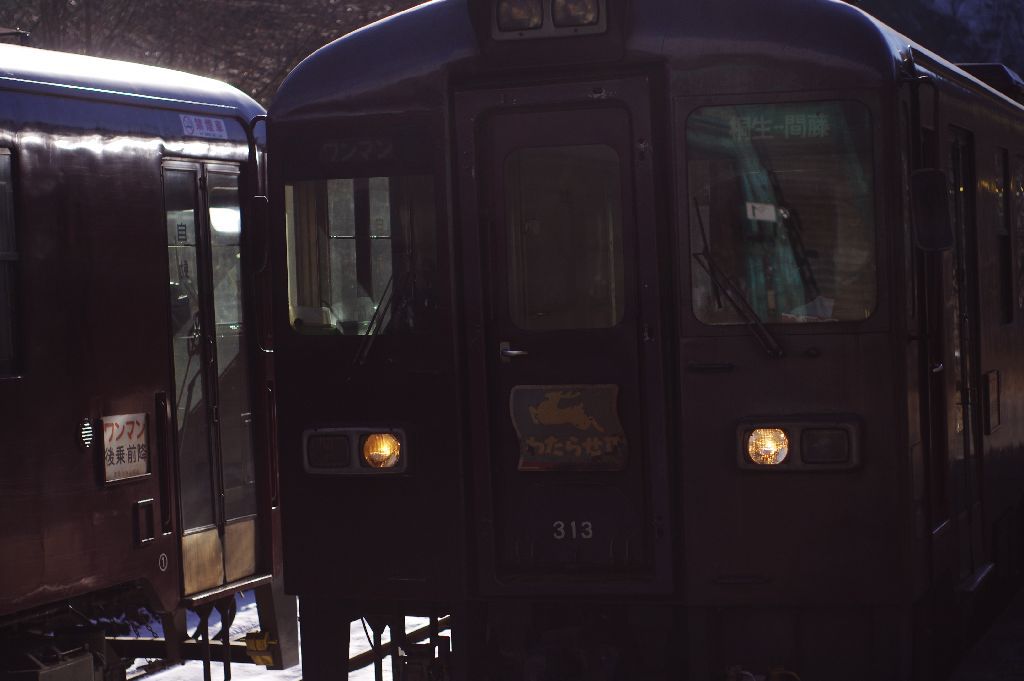 わたらせ渓谷鉄道　すれ違い