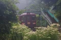 雨の沢入駅