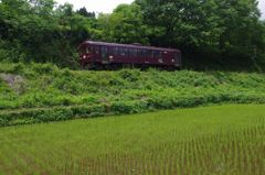 わ鐵と田んぼ