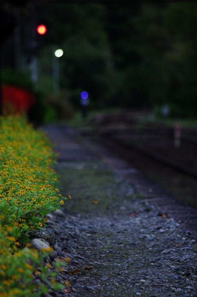 IMGP4803