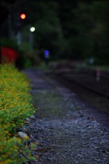 IMGP4803