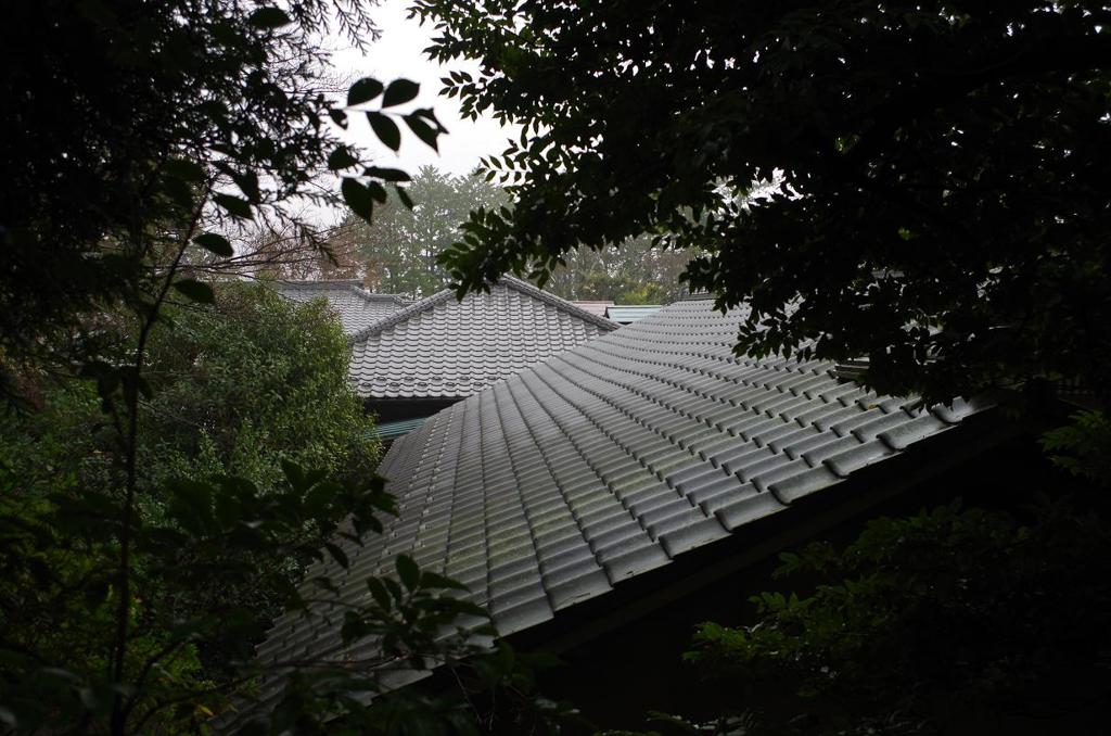 雨の瓦屋根　aIMGP2661b