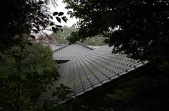雨の瓦屋根　aIMGP2661b