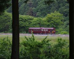 林の向こうの田んぼとわ鐵